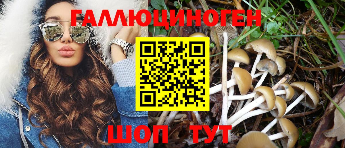 Ленинск-Кузнецкий  Псилоцибиновые грибы MAGIC MUSHROOMS  Галлюциногенные грибы MAGIC MUSHROOMS  Вход с VPN 